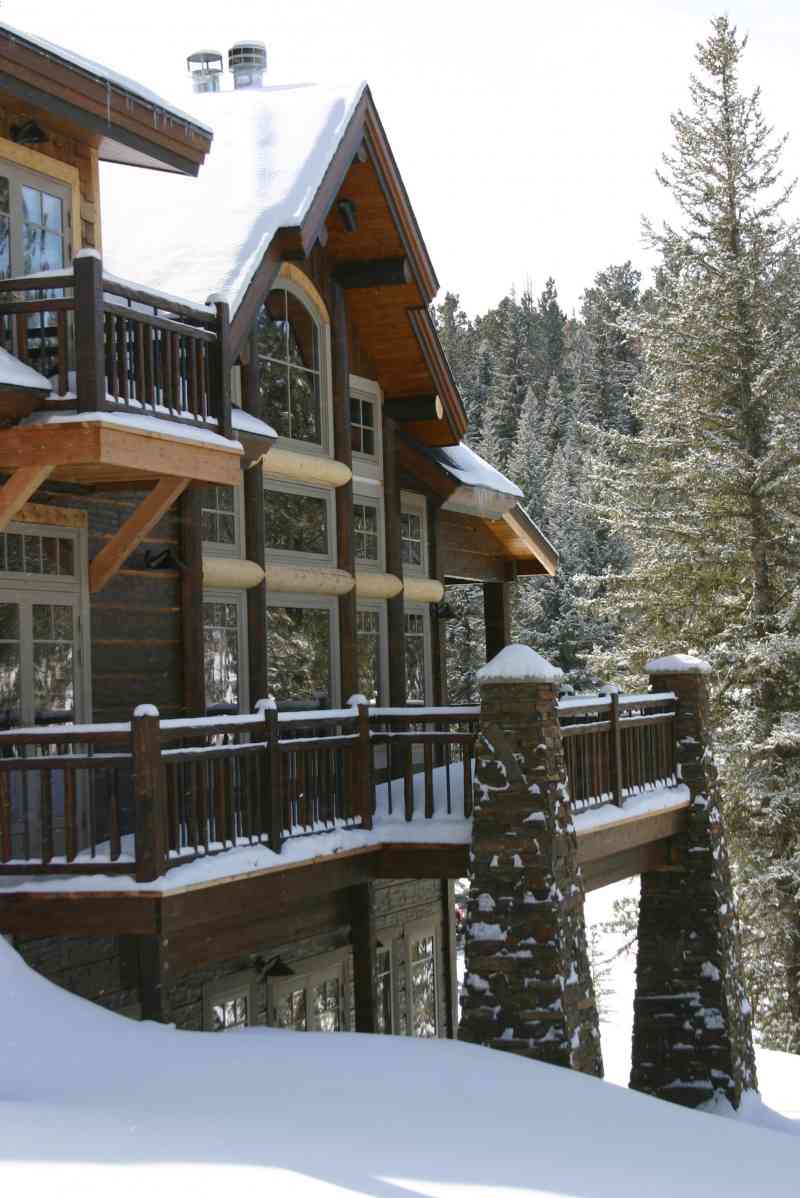 Right at home among the snow.