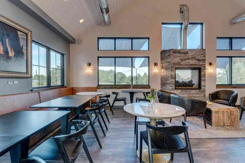 natural light filtering through black-framed windows